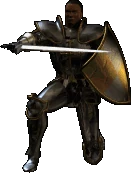 Paladin