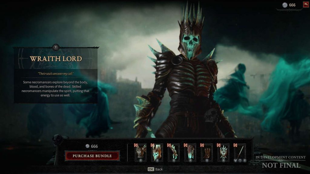 Cosmetic Item