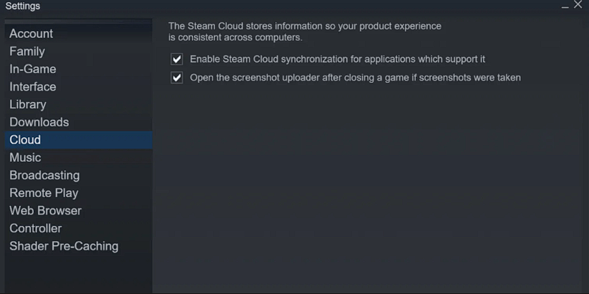  Steam